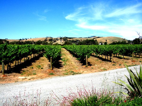 McLaren Vale