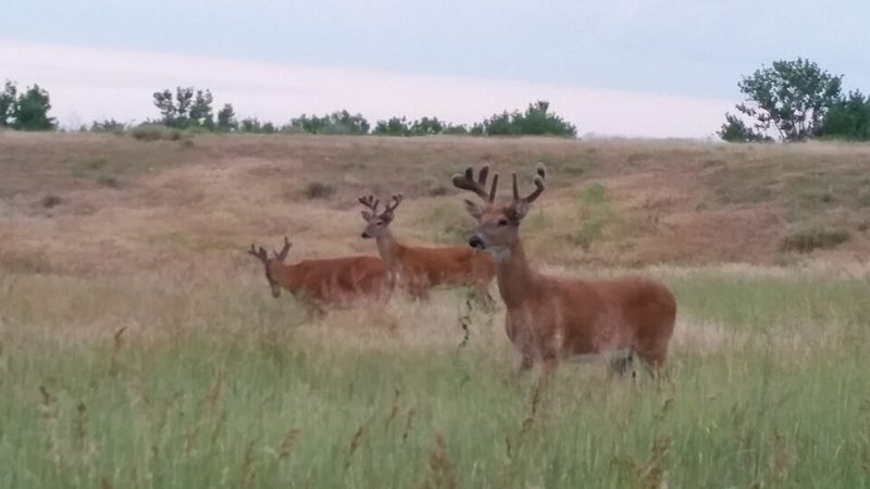 Cherry Creek State Park in Aurora