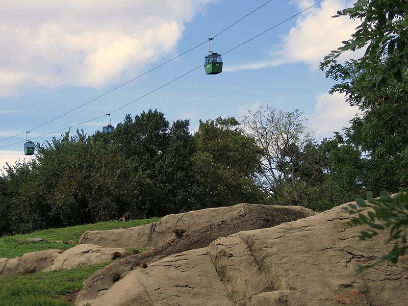 Bronx Zoo