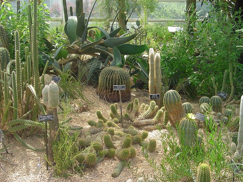 Brooklyn Botanic Garden