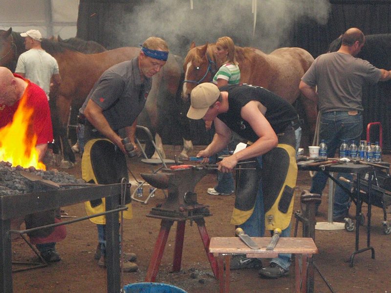 Calgary Stampede