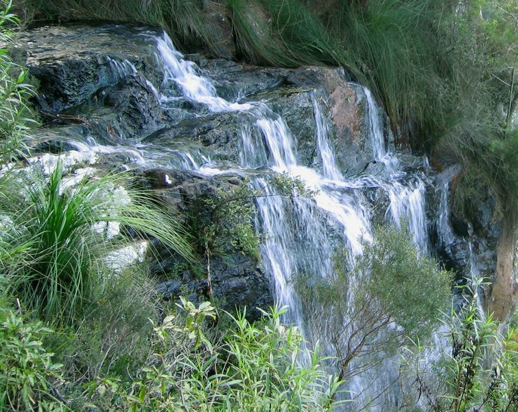 Gold Coast hinterland