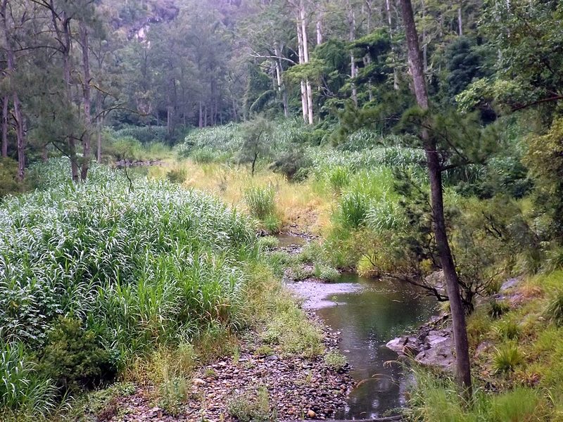 Gold Coast hinterland