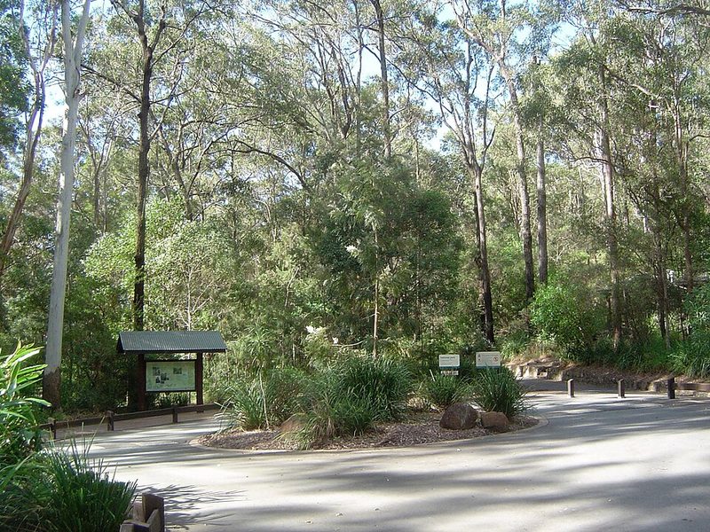 Gold Coast hinterland