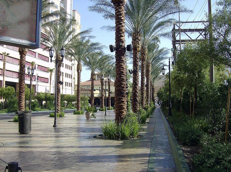 El Cortez (Las Vegas)