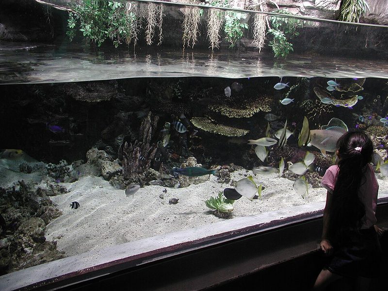Aquarium of the Pacific