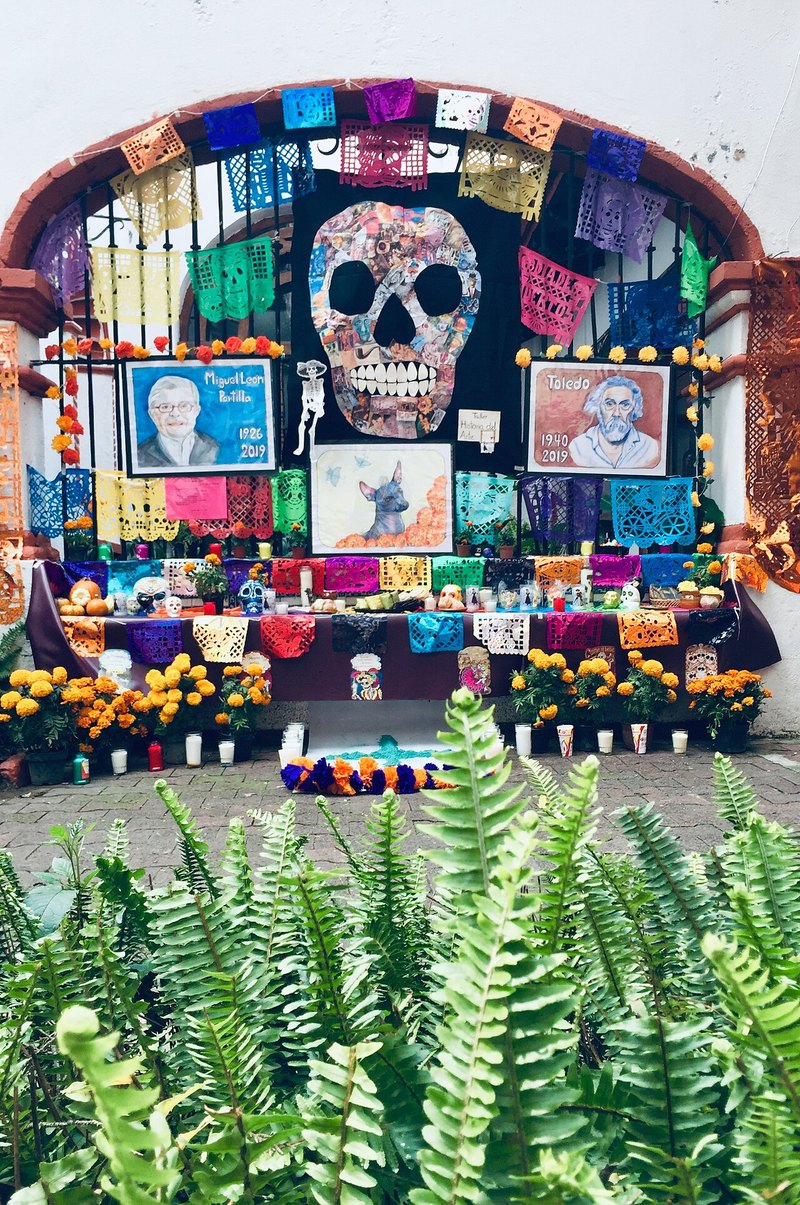 Día de Muertos ofrenda in Coyoacán, Mexico City