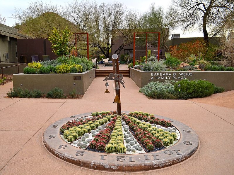 Desert Botanical Garden