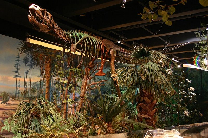 North Carolina Museum of Natural Sciences