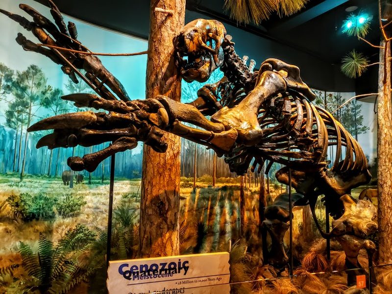 North Carolina Museum of Natural Sciences