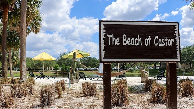 University of South Florida