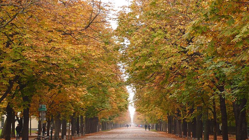 Prater Park in Vienna